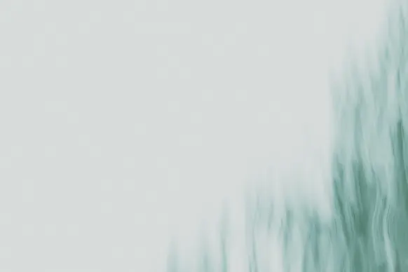 Casino Wild Tornado Support